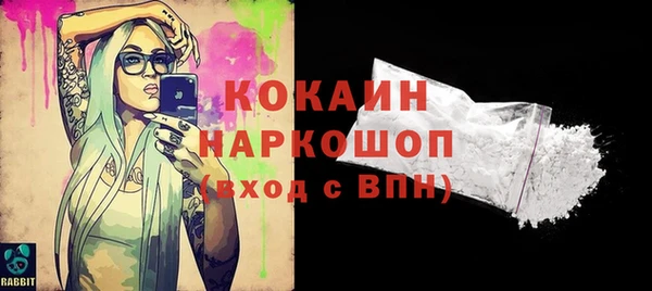 ПСИЛОЦИБИНОВЫЕ ГРИБЫ Верея