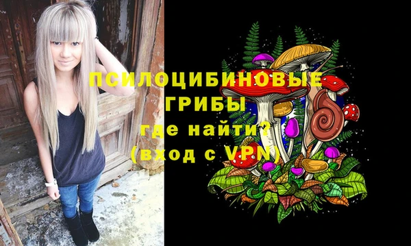 винт Верхний Тагил