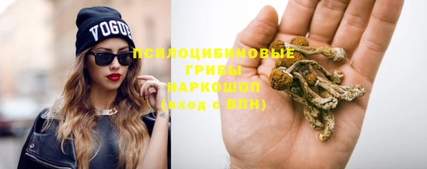 винт Верхний Тагил