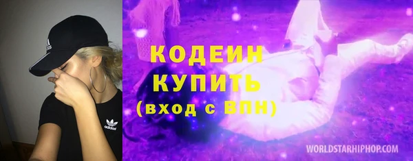 ПСИЛОЦИБИНОВЫЕ ГРИБЫ Верея