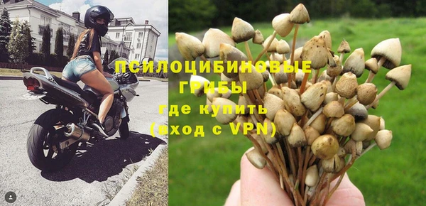 ПСИЛОЦИБИНОВЫЕ ГРИБЫ Верея
