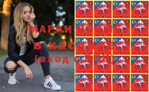 ПСИЛОЦИБИНОВЫЕ ГРИБЫ Верея