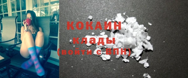 ПСИЛОЦИБИНОВЫЕ ГРИБЫ Верея