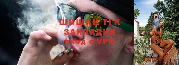 ПСИЛОЦИБИНОВЫЕ ГРИБЫ Верея