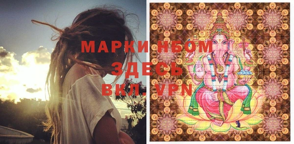 ПСИЛОЦИБИНОВЫЕ ГРИБЫ Верея