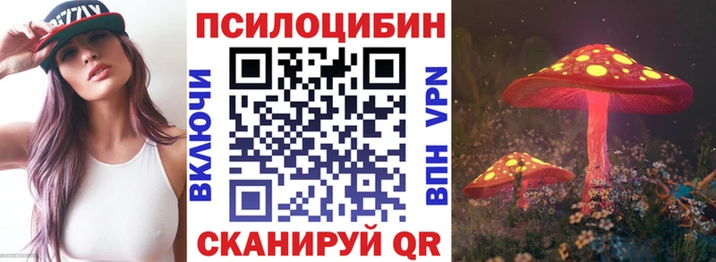 MEGA зеркало  цена   Чкаловск  Галлюциногенные грибы GOLDEN TEACHER 